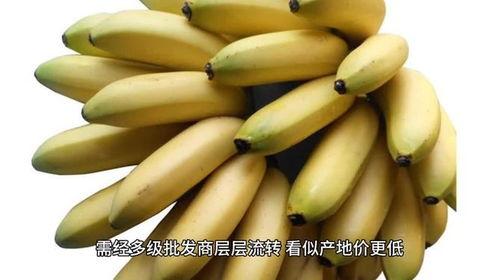 大香蕉国产在线观看